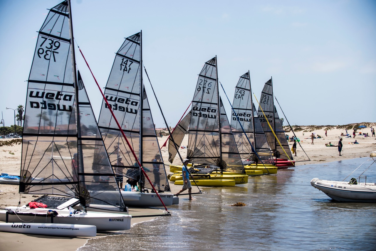 Wetafleet01