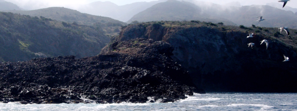 santa-cruz-rock_960x360